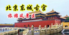 小吊弄大B视频中国北京-东城古宫旅游风景区